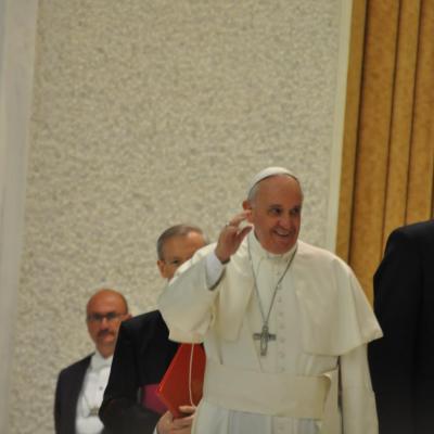 Afae Incontriamo Il Papa 201