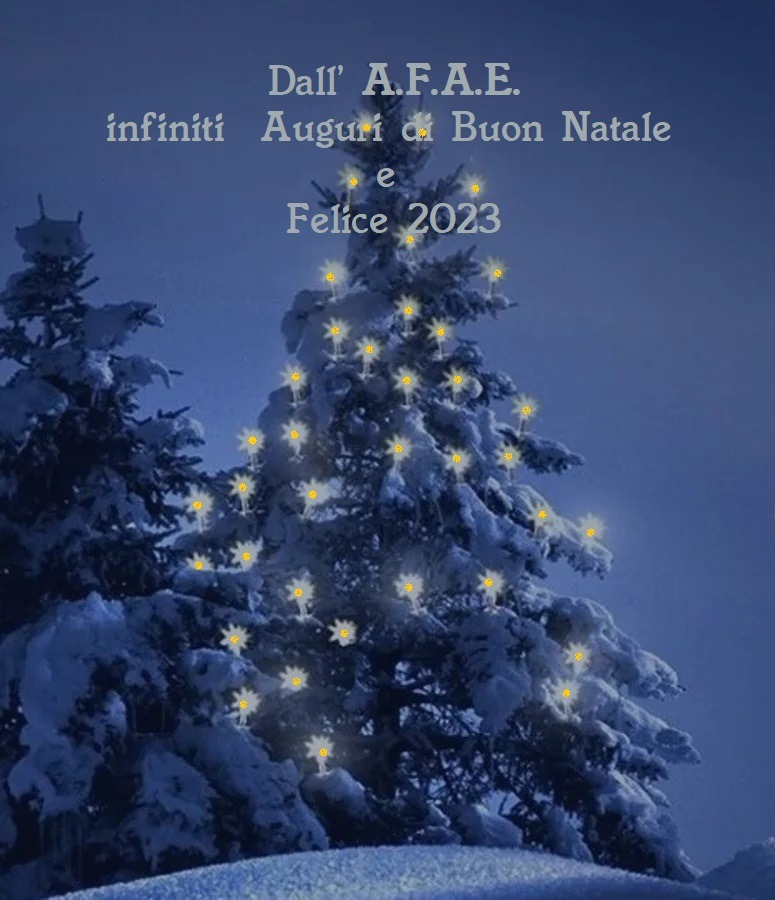 AUGURI_NATALE_2022.jpg